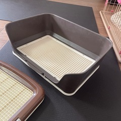 犬用トイレトレイ2点メッシュカバー付きの画像