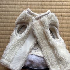 ペット服の画像
