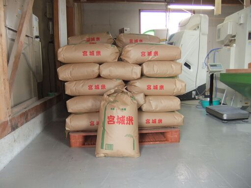 令和７年産新米　できたてほやほやの新米　ひとめぼれ 玄米30Kg