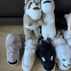 (取引き中)シャクレプラネット　14体の画像