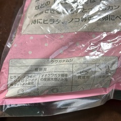 クワガタ　カブトムシ　産卵マットの画像