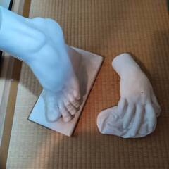 特価　石膏像4体（美大生、画家向け）の画像