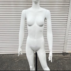 トルソー マネキン 女性 可動式 現地渡しの画像