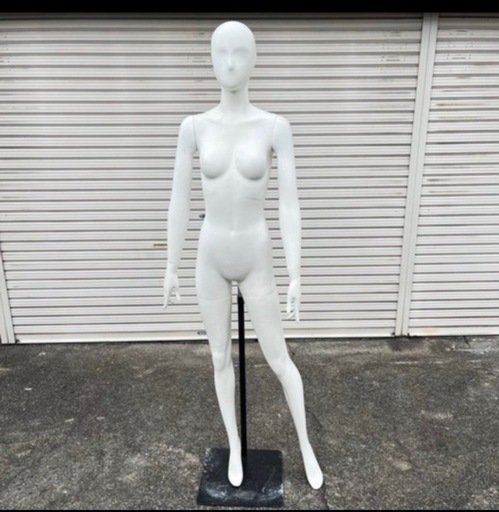トルソー マネキン 女性 可動式 現地渡し