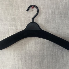 大量！滑り止め付きハンガーの画像