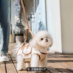 お散歩、お出かけに超便利な犬用品！！の画像