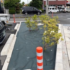 【急募】企業の緑地帯のメンテナンス作業がメインです。埼玉県各エリアにて車両持ち込みできる協力会社様の画像