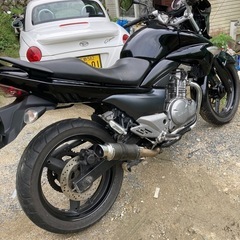 gsr250の画像