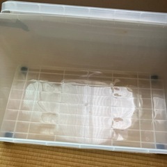 衣装ケースの画像