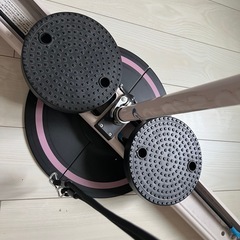 レッグマジック　　の画像