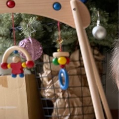 クリスマスツリーの画像