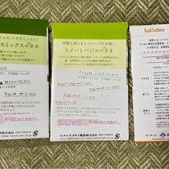 ※お譲り先決定※【無料で差し上げます】リーフレタス、スイートバジルの種 3袋/家庭菜園の画像