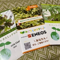 ※お譲り先決定※【無料で差し上げます】リーフレタス、スイートバジルの種 3袋/家庭菜園の画像