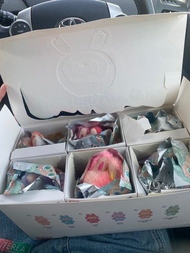 投稿2　早い者勝ち　ラブブ　コンプリート　6体セット