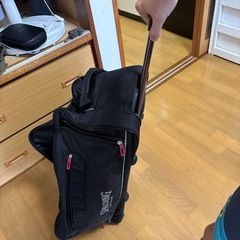 スポルティング　スポーツキャリーバックの画像