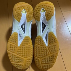 バドミントンシューズの画像