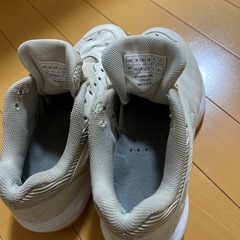 バドミントンシューズの画像