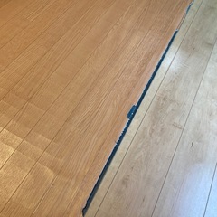 受け渡し者決定　
ホットカーペット の画像