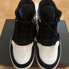 【新品未使用】NIKE Air Jordan Fadeaway 27cmの画像