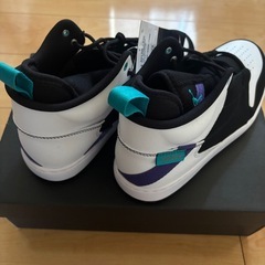 【新品未使用】NIKE Air Jordan Fadeaway 27cmの画像