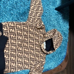 子供服　フェンデー風の画像