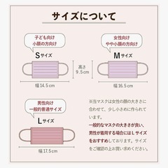 G-craft マスク 30枚入りの画像