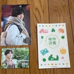 植物図鑑 ファイル シール 写真の画像