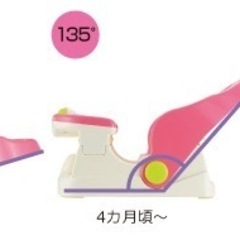 【便利】リッチェル バスチェアマット付Rの画像