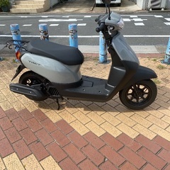 ホンダ　タクトベーシック　AF79 高年式　グレーの画像