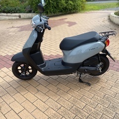 ホンダ　タクトベーシック　AF79 高年式　グレーの画像