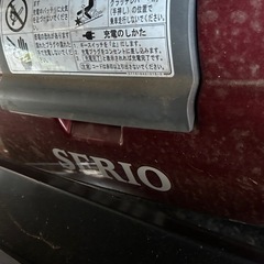 遊歩パートナーの画像