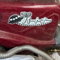 遊歩パートナーの画像