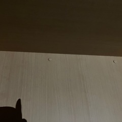 【壁からの取り外し必要】作り付け棚の画像