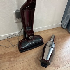 Electrolux エルゴラピードリチウムの画像