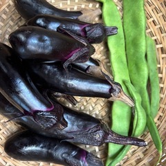 本日朝採り新鮮野菜のうち トマト1種類とおまけ一籠を ¥100にてお譲り致します♪⑲の画像