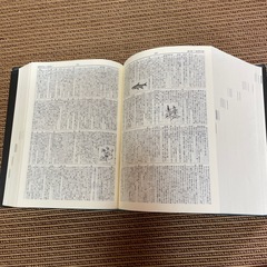 広辞苑の画像