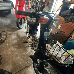 suzuki bird 不動車の画像