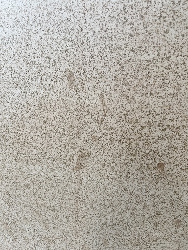 アンティーク屏風永政 山水図 衝立 煎茶道具 間仕切り パーティション アンティーク屏風永政 山水図 衝立 煎茶道具 間仕切り パーティション