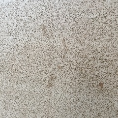 アンティーク屏風永政 山水図 衝立 煎茶道具 間仕切り パーティションの画像