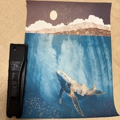 ポスターの画像