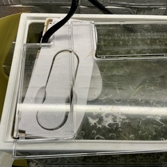 水槽とコリドラス2匹の画像