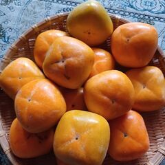 【取引中】合わせ柿Sサイズの画像