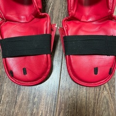 イサミ isami　シンガード　レッグガードの画像