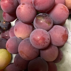 ぶどう　粒々パック400gの画像