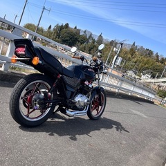 gsx250eごきゴキの画像