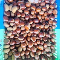 栗1kg※農薬不使用　の画像