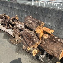 伐採木⭐︎無料☆薪用などにの画像