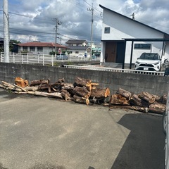 伐採木⭐︎無料☆薪用などにの画像