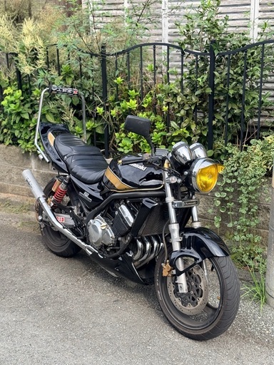 綺麗✨BALIUS-Ⅱ  バリオス2