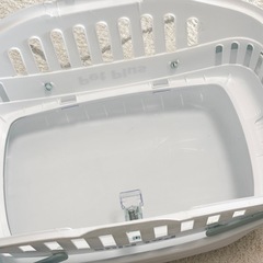 ペットプラス　本日受け渡しのみの画像